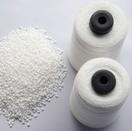 Fibre discontinue de polyester